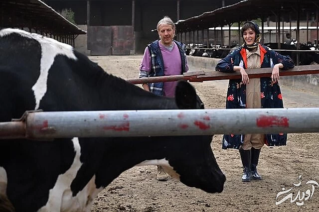 گریم فرشته حسینی در «چرا گریه نمیکنی؟» «چرا گریه نمیکنی؟»